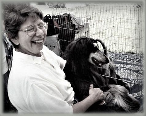 It Is All the Fault of the British